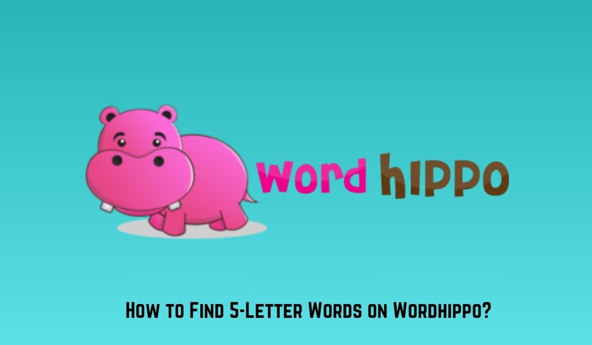 How to Find 5-Letter Words on Wordhippo?